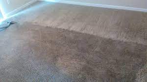 carpet cleaning services in colorado