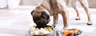 the best fresh cooked food for pugs and