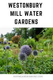 travel westonbury mill water gardens
