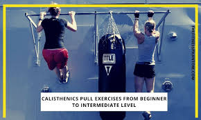 calisthenics pull workout 10 best