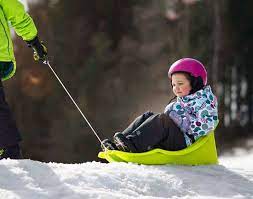 best baby and toddler snow sleds with