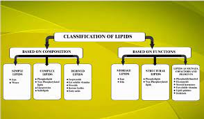 clification of lipids based on their