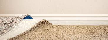 tips for getting rid of carpet mold aqa