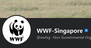 former employees of wwf singapore
