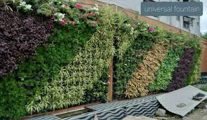 Live Plants Vertical Outdoor Green Wall