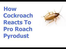 In our diy center, we offer the best roach control products and supplies to help you get rid of roaches on your own. Pin On Do It Yourself Pest Control