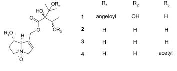 Pyrrolizidine alkaloids from Cynoglossum columnae Ten ...