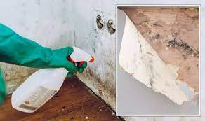 How To Clean Mould Off Walls Very