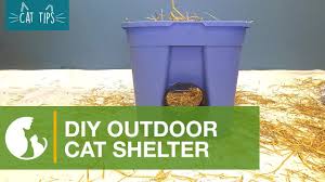 how to build an outdoor shelter alley