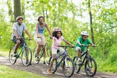Image result for Informations about Bicycle
