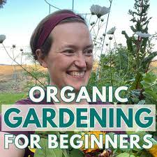 Organic Gardening For Beginners Tips