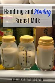 Handling And Storing Breast Milk When You Are Exclusively
