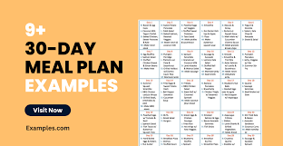 30 day meal plan 9 exles format