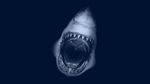 Jaws wallpaper | animals