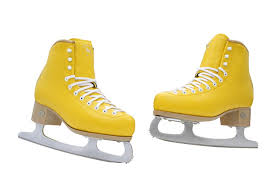 Golde Horse Skating Shoes Ice Skate Figure Freestyle In