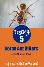 borax ant s testing 5 diffe