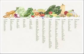 Seasonal Vegetable Chart Uk Related Keywords Suggestions