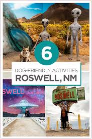 in roswell new mexico with your dog