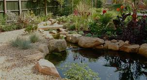 Water Garden Design Installation