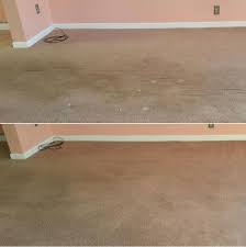 hippo carpet cleaning chantilly the