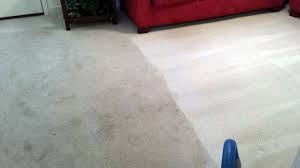 bluewater professional carpet cleaning