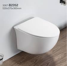 Customized Wall Mounted Rimless Toilet