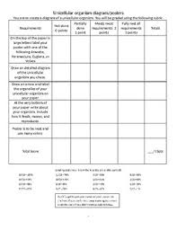 Amoeba Paramecium Euglena Volvox Worksheets Teaching