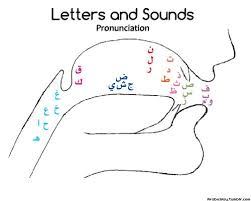 This Drawing Shows Where The Sounds Should Come Out From