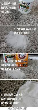cleaning carpet with vinegar and baking