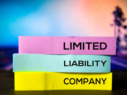 We did not find results for: Limited Liability Company Llc Definition