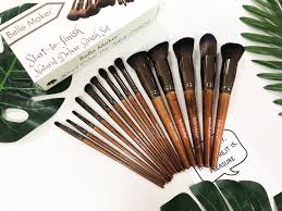 rich cosmetic brushes