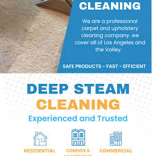 sofa cleaning near studio city