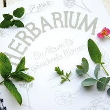 Nossos produtos são reconhecidos pela qualidade conheça toda a linha de produtos herbarium. Deckblatt Herbarium Zum Ausdrucken