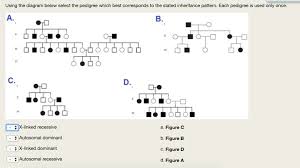 Solved Using The Diagram Below Select The Pedigree Which