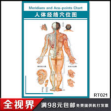 China Auricular Acupuncture China Auricular Acupuncture