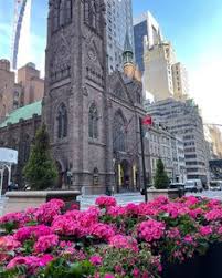 The leafy streets are not crowded and it contains some of the world's best this is off the eastern side of central park and an expensive and much sought of neighbourhood. 230 Darcy S Flowers Ideas In 2021 Diy Flower Projects Flower Party Summer Flowers