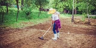 Prepare Your Garden Beds For Spring