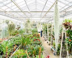 royal botanical gardens kew london