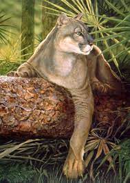 A person who commits animal cruelty or aggravated animal cruelty against more than one animal may be charged with a separate offense for each animal such cruelty was committed upon. Florida State Animal Florida Panther Puma Concolor Coryi From Netstate Com
