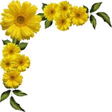 flowers yellow bp frame yellow