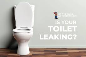what to do when your toilet is leaking