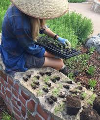 Planting In Southern California