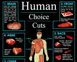 Haunted Elevator Human Meat Cuts Diagrams