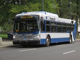 Connecticut Transit New Haven Wikipedia