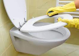 how to replace toilet seat hinges