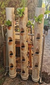 27 Diy Pvc Pipe Garden Ideas And