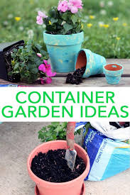 Container Garden Ideas Perfect For