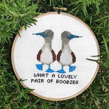 Lovely Boobies Cross Stitch Kit 7 What a Pair Modern - Etsy