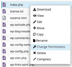 cpanel file manager cpanel