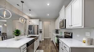 kitchen cabinets ideas designs colour